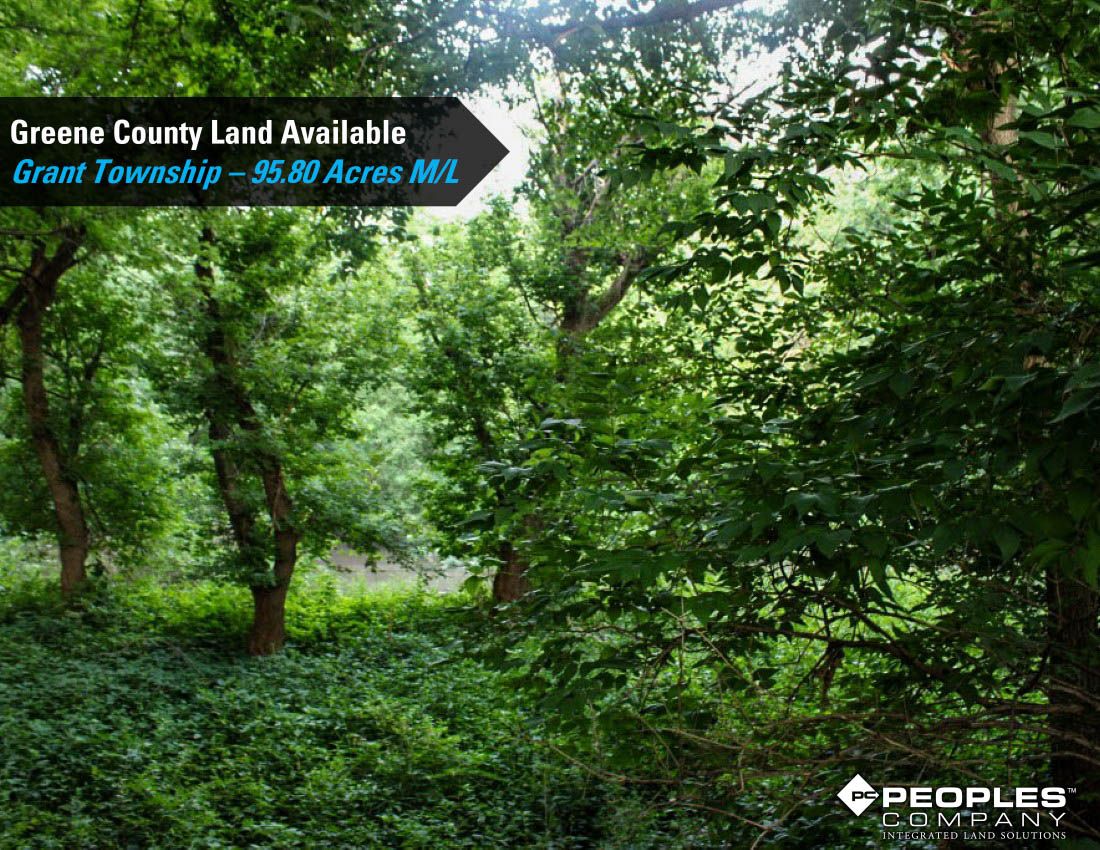 Listing Photo: Greene-Co-Rec-Land-Available-95-Acres-19559 (34)
